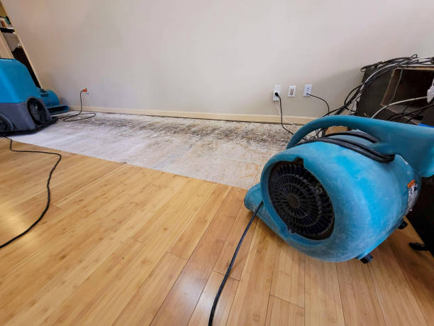 Professional Water Removal technician working in Brooklyn, OH
